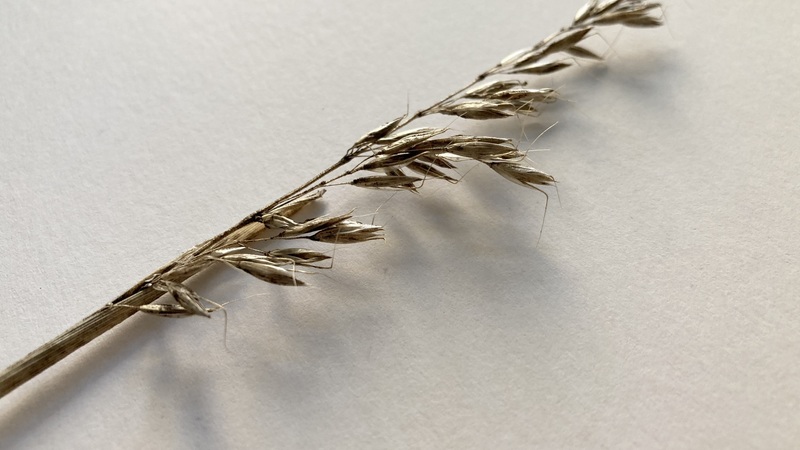 Louise Winter: Untitled / v mestu