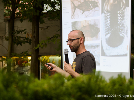 27063_kf2026_gregornovak_gregornovak-kf-d04-paleoveceri02.jpg